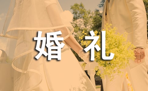 ��ɫ���}��Y��Ӳ߄���������