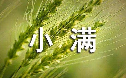 關于《小滿》古詩