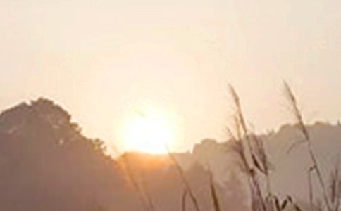 ����Ψ���簲�İ������x165�䣩