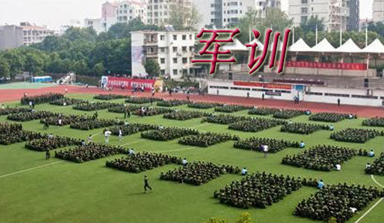 軍訓(xùn)日記(通用85篇)